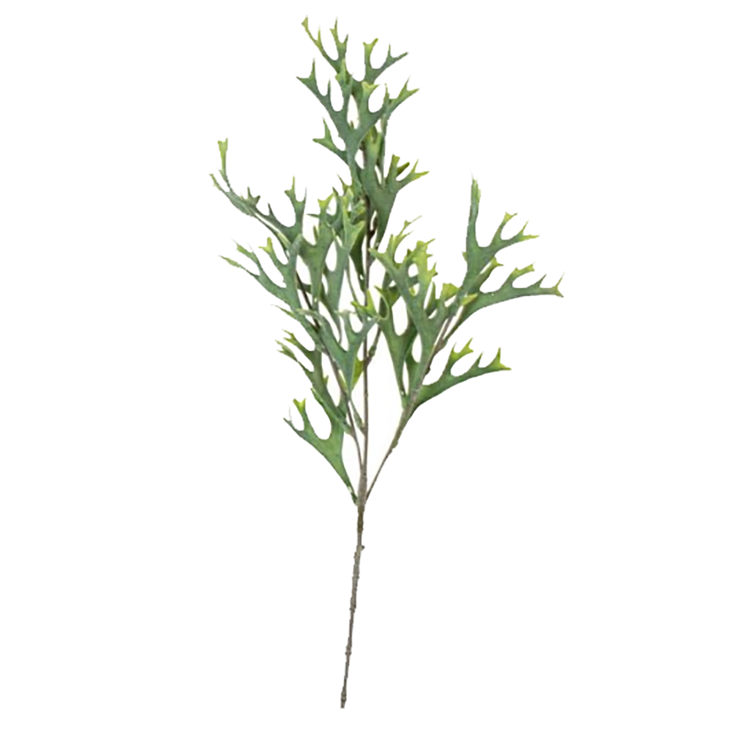 Silver Leaf Spray Faux Plant Stems The Deco Shop Ltd